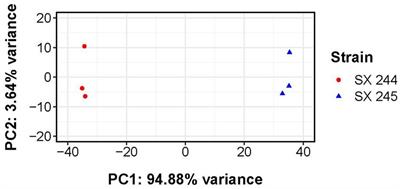 Genomic and phenotypic comparison of two variants of multidrug-resistant Salmonella enterica serovar Heidelberg isolated during the 2015–2017 multi-state outbreak in cattle